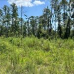 Property photo for land for sale in Suwannee County Florida