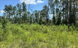 Property photo for land for sale in Suwannee County Florida