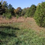 Property photo for land for sale in Howell County Missouri