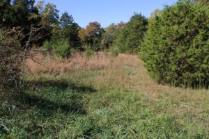 Property photo for land for sale in Howell County Missouri