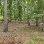 Property photo for land for sale in Upshur County Texas