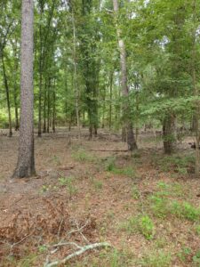 Property photo for land for sale in Upshur County Texas