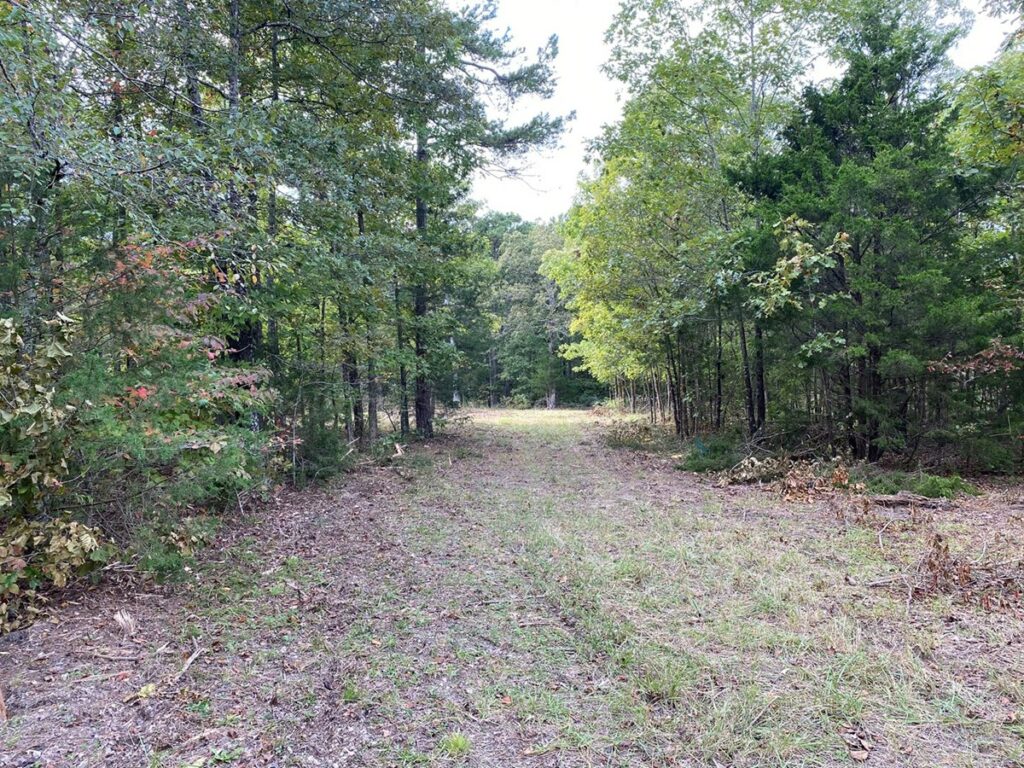 Property photo for land for sale in Izard County Arkansas