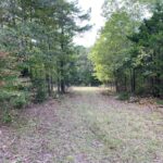 Property photo for land for sale in Izard County Arkansas