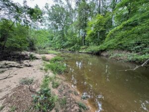 Property photo for land for sale in Pike County Mississippi