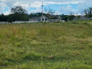 Property photo for land for sale in Izard County Arkansas