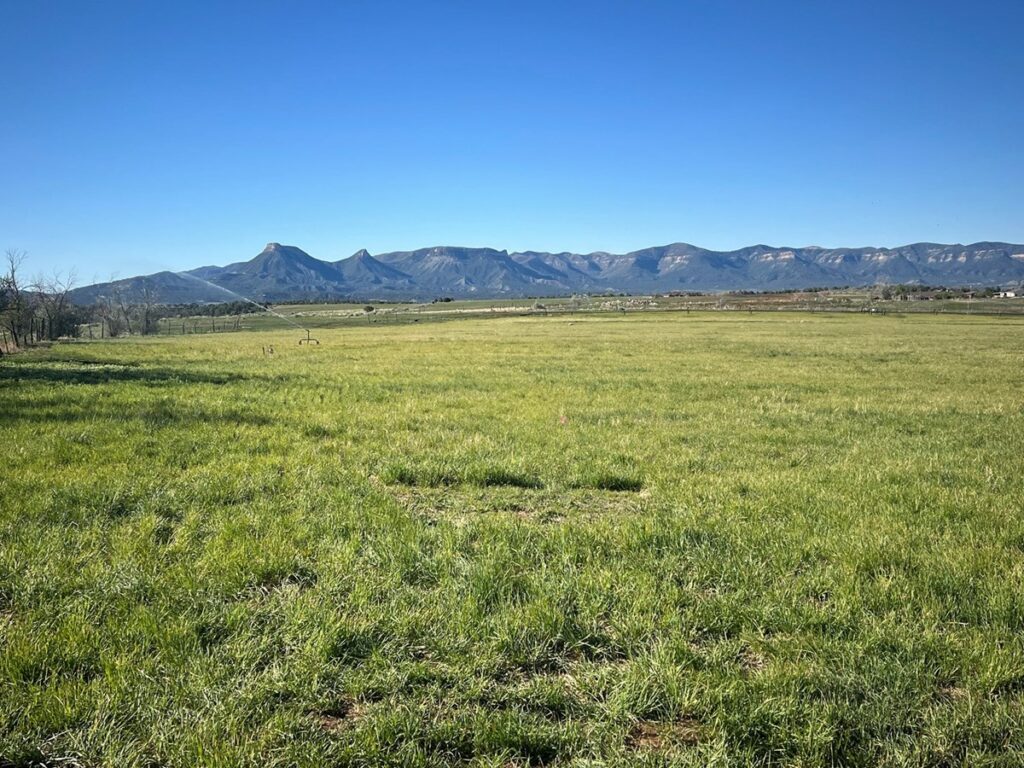 Property photo for land for sale in Montezuma County Colorado