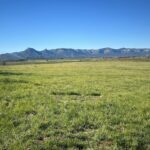 Property photo for land for sale in Montezuma County Colorado