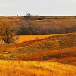 Property photo for land for sale in Franklin County Nebraska