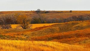 Property photo for land for sale in Franklin County Nebraska