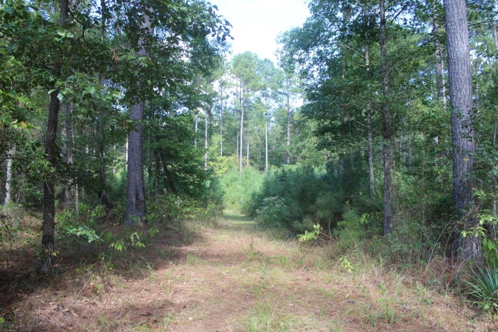 Property photo for land for sale in Lincoln County Mississippi