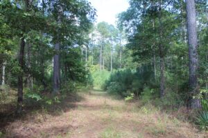 Property photo for land for sale in Lincoln County Mississippi