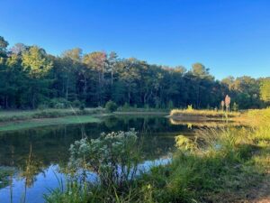 Property photo for land for sale in Amite County Mississippi