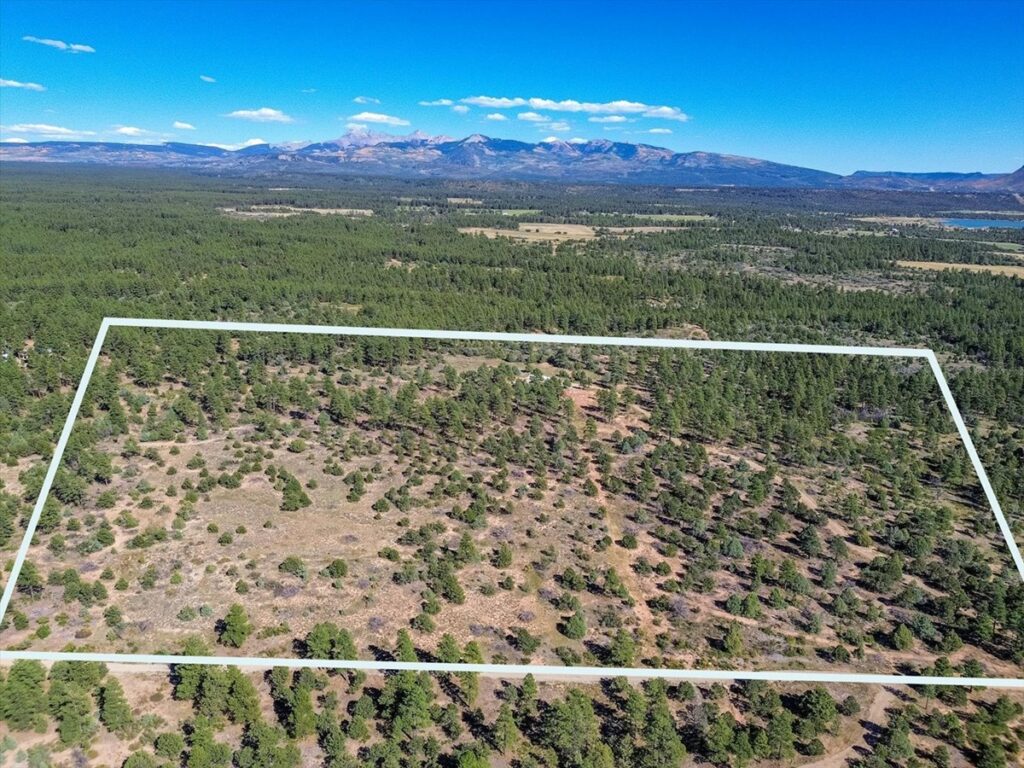 Property photo for land for sale in Montezuma County Colorado