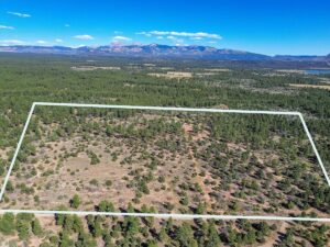 Property photo for land for sale in Montezuma County Colorado