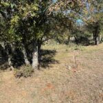 Property photo for land for sale in Brown County Texas