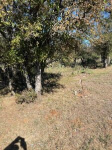 Property photo for land for sale in Brown County Texas