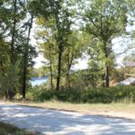 Property photo for land for sale in Boone County Missouri