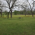 Property photo for land for sale in Rains County Texas