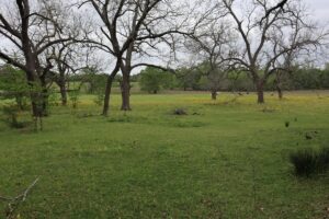 Property photo for land for sale in Rains County Texas