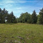 Property photo for land for sale in Douglas County Missouri