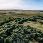 Property photo for land for sale in Phillips County Montana