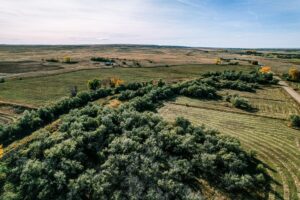 Property photo for land for sale in Phillips County Montana