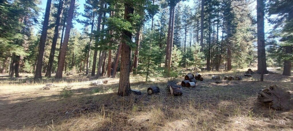 Property photo for land for sale in Modoc County California