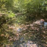 Property photo for land for sale in Newton County Arkansas