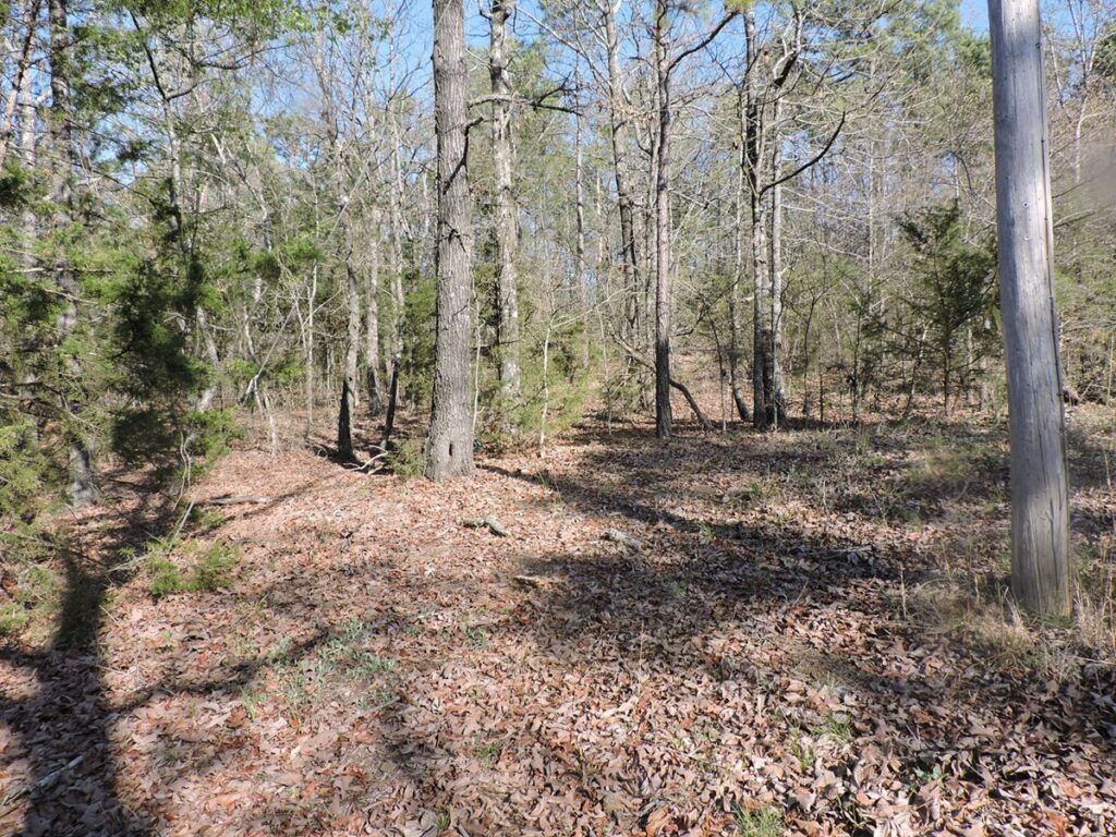 Property photo for land for sale in Scott County Arkansas