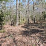 Property photo for land for sale in Scott County Arkansas