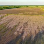 Property photo for land for sale in Red River County Texas