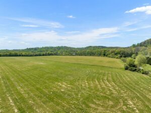 Property photo for land for sale in Lewis County Tennessee