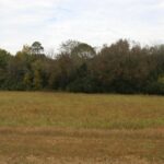 Property photo for land for sale in Izard County Arkansas