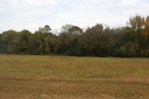 Property photo for land for sale in Izard County Arkansas