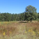 Property photo for land for sale in Franklin County Mississippi