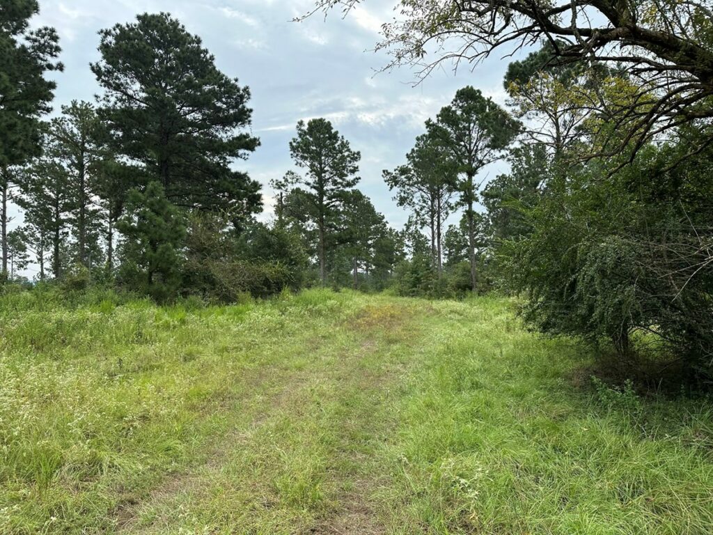 Property photo for land for sale in Cherokee County Texas