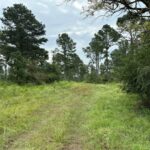 Property photo for land for sale in Cherokee County Texas