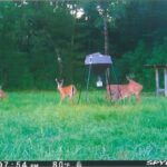 Property photo for land for sale in Pike County Mississippi