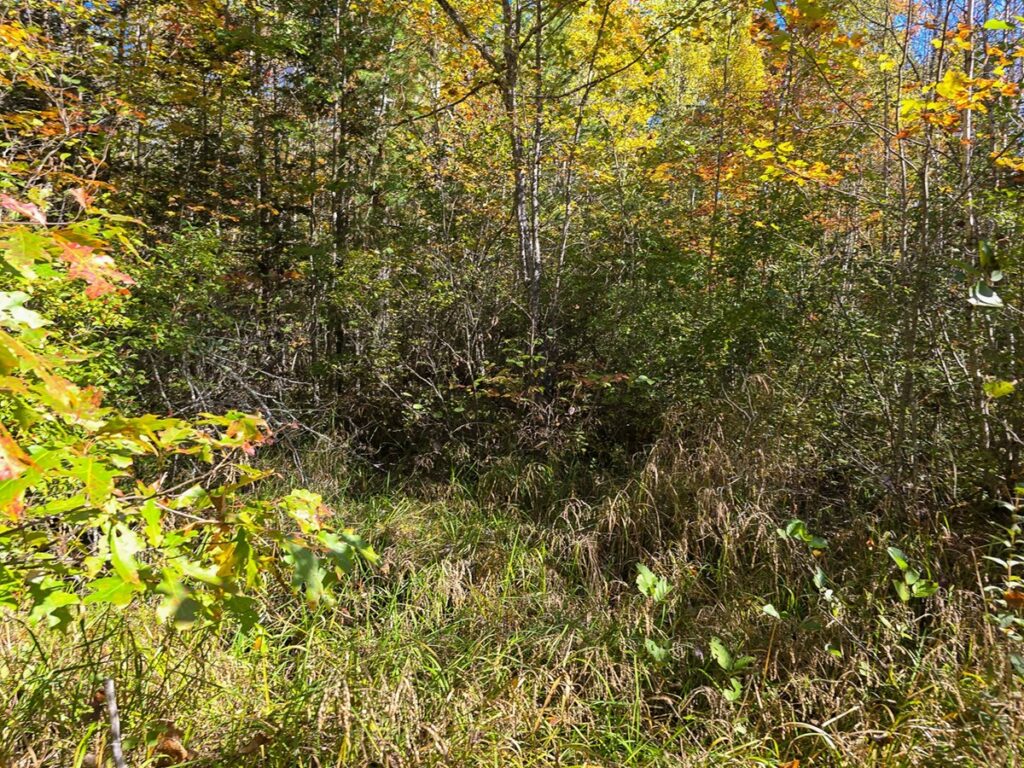 Property photo for land for sale in Penobscot County Maine