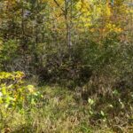 Property photo for land for sale in Penobscot County Maine