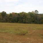 Property photo for land for sale in Stone County Arkansas