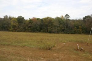 Property photo for land for sale in Stone County Arkansas