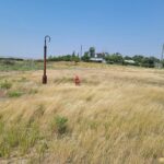 Property photo for land for sale in Toole County Montana