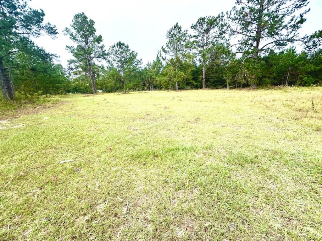 Property photo for land for sale in Suwannee County Florida