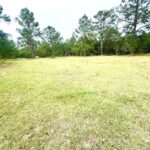 Property photo for land for sale in Suwannee County Florida