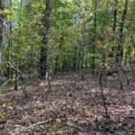 Property photo for land for sale in Fulton County Arkansas