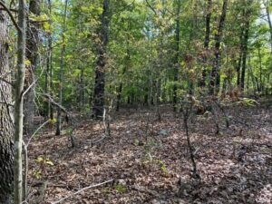 Property photo for land for sale in Fulton County Arkansas