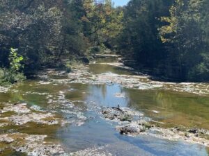 Property photo for land for sale in Marion County Arkansas