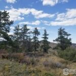 Property photo for land for sale in  County Colorado